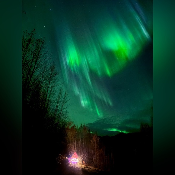 Meet your Posher, Patricia - Picture 5 of 8